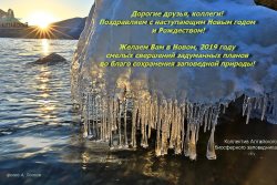 Поздравляем с Новым годом!