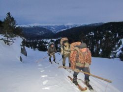 Заметки териолога. Зимний учет животных в местах концентрации копытных.