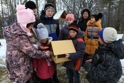 Добрая зима для птиц