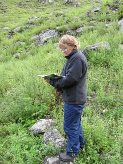 В Алтайском заповеднике оценят рекреационное воздействие на маршруте к водоскату "Учар"