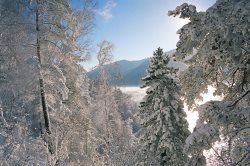 Коллектив Алтайского заповедника получает поздравления