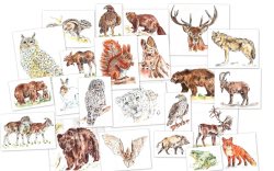 Сказки детей об алтайской тайге