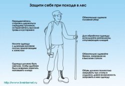 Жизнь заповедного кордона Байгазан. «А клещи уже проснулись!»