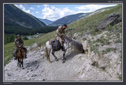 К зверовым солонцам по рекам Чулышман и Шавла
