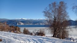 Фенологические заметки. Дыхание весны