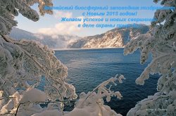 Алтайский биосферный заповедник поздравляет с Новым годом!