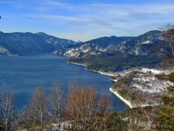 Заметки териолога. В Алтайском заповеднике продолжается зимний маршрутный учет