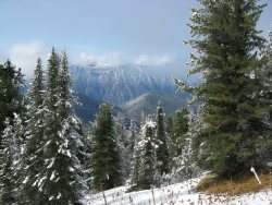 11 декабря - Международный день гор