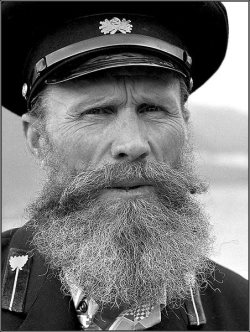 К 75-летию Победы в Великой Отечественной войне 1941-1945гг..