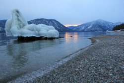 Новое на сайте