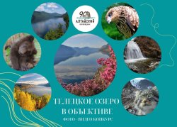 Объявлен фото/видеоконкурс «Телецкое озеро в объективе»