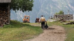 Итоги эко-туристической деятельности в Алтайском заповеднике