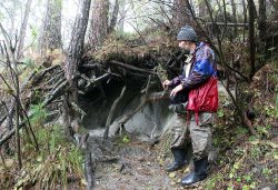 Почему дикие животные едят землю?