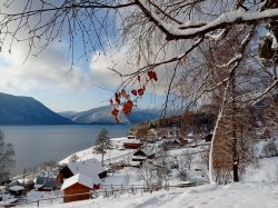 О результатах заседания научно-технического совета Алтайского заповедника