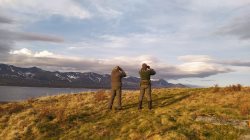 Нерест Хариуса под охраной