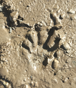 Полевые будни научного отдела