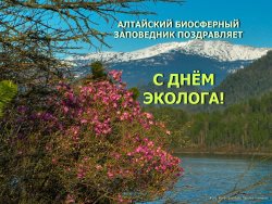 С Днём эколога!