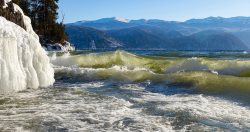 Фенологические заметки. Каким был первый месяц 2021 года?