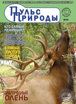 В поисках золотого города...