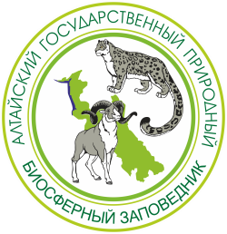 Обновление на сайте!