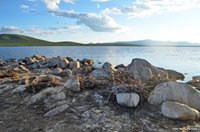 Большие бакланы на озере Джулукуль в этом году остались без птенцов