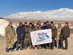 Сотрудники Алтайского заповедника принимают участие в учете численности алтайского горного барана