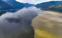 Муть и чистота. Слияние паводковых вод Чулышмана с Телецким озером отсняли в Алтайском заповеднике