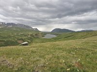Опергруппа Алтайского заповедника в долине реки Богояш задержала нарушителей