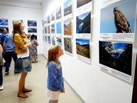 В Национальном музее Республики Алтай состоялось открытие фотовыставки «Живая природа Алтая»