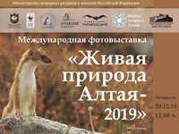 «Живая природа Алтая» вновь в залах  Национального музея Республики Алтай