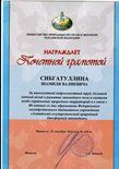 Сибгатуллин ШВ. Почётная грамота МПР и экологии РФ