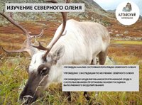 В Алтайском заповеднике подвели итоги работы отдела науки в 2022 году