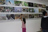 Дети фотографируют понравившиеся кадры  выставки на свои телефоны