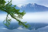 Туман на Телецком озере. Гора Алтын-Туу. Алтайский биосферный заповедник