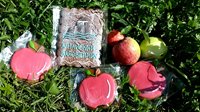 Праздник «Яблочный спас» состоялся в Алтайском биосферном заповеднике