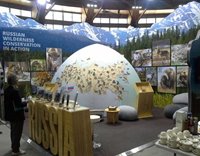 Российская делегация примет участие в Шестом Всемирном конгрессе по особо охраняемым природным территориям