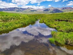 2 февраля – Всемирный день водно-болотных угодий