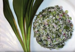 Традиции заповедного Алтая. Алтайская народная кухня (Весна. Колба.)