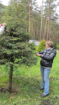 Научный сотрудник Алтайского заповедника приняла участие в школе молодых интродукторов