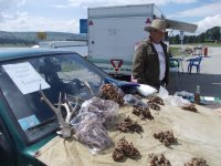 Новости Межведомственной антибраконьерской бригады Республики Алтай 