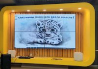 В Республике Алтай состоялся фестиваль «Земля снежного барса - 2021» 