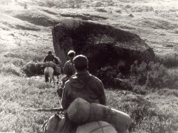 Научные экспедиции в Алтайском заповеднике в 30-е годы XX века