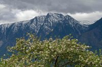 Турпоток из Москвы на Алтай вырос на 20% после запуска нового рейса