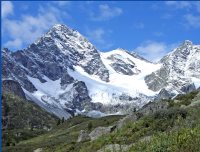 В рамках международного сотрудничества 
