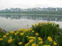 2 февраля – Всемирный день водно-болотных угодий