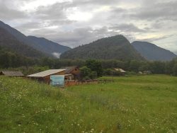 Кордон Челюш