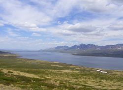 World Wetlands Day is celebrated today