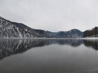 Жизнь заповедного кордона. Телецкое озеро. Вода и лед.