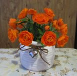 Творческие работы Мирославы Сахневич