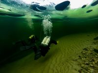 В ожидании весны